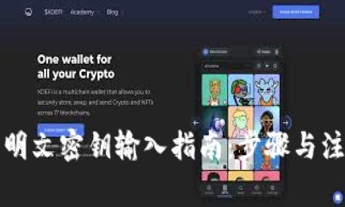 TP钱包明文密钥输入指南：步骤与注意事项