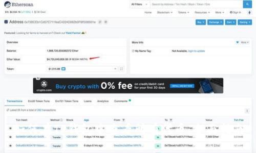 如何在TP钱包中查看所有代币：全面指南